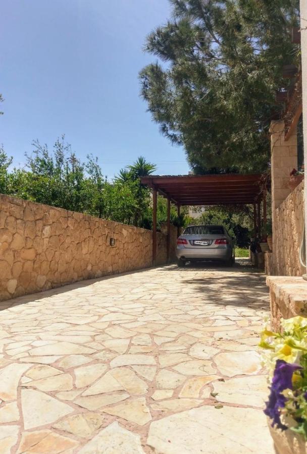 Mediterranean Garden Villa Vathí Eksteriør billede
